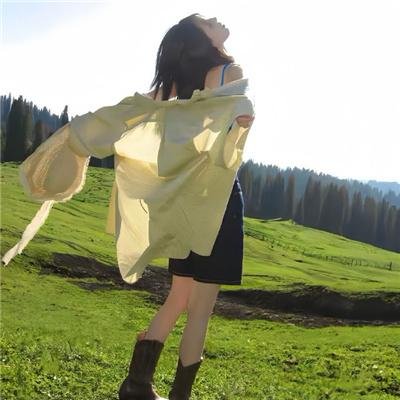 休战协定